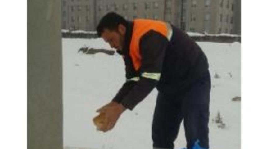 Ereğli&rsquo;de Sokak Hayvanlarına Yem Bırakıldı