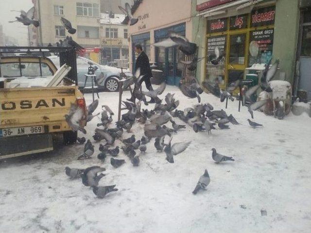 Soğuk Hava Ve Kar Nedeniyle Kuşlar Yiyecek Bulamıyor