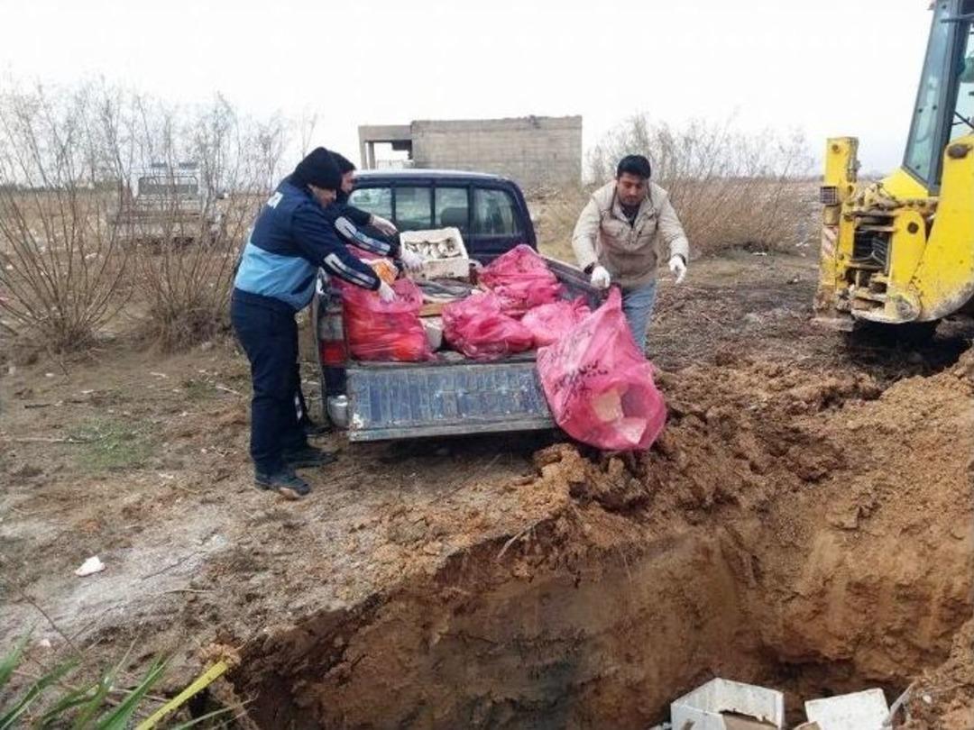 Lokantada Kedi Eti Ele Ge&ccedil;irildi