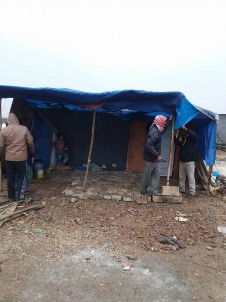 Lokantada Kedi Eti Ele Geçirildi G1