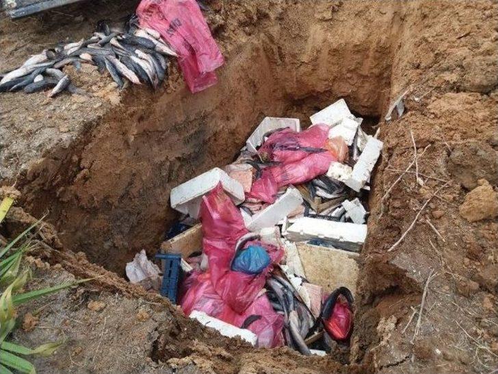 Lokantada Kedi Eti Ele Geçirildi G2