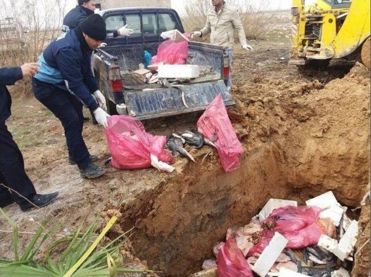 Lokantada Kedi Eti Ele Geçirildi G3