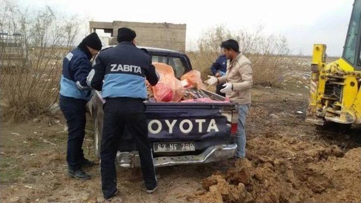 Lokantada Kedi Eti Ele Geçirildi G5