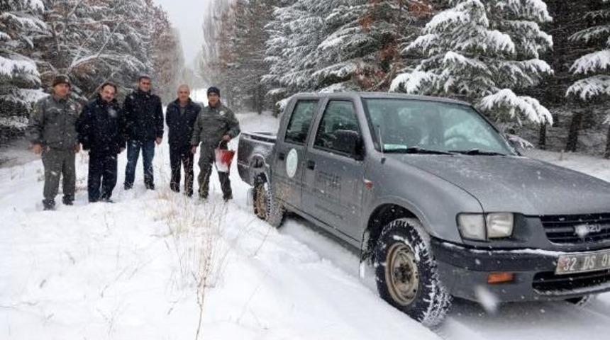 Karda Aç Kalan Yaban Hayvanları Için Doğaya Yem Bırakıldı