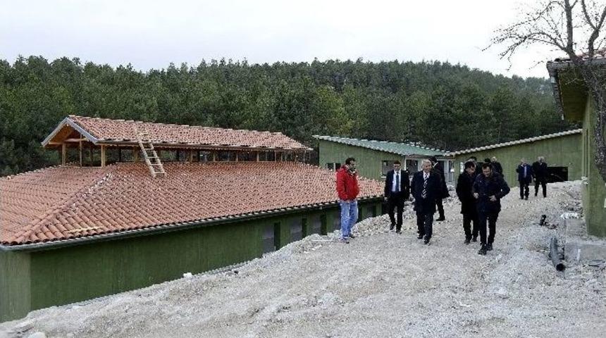 Isparta’da Hayvan Barınağı Kurma Çalışmaları