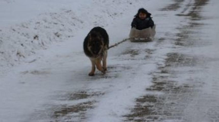 K&ouml;pekli Kızak Keyfi