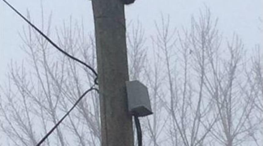 Direkte Mahsur Kalan Kediyi İtfaiye Ekipleri Kurtardı