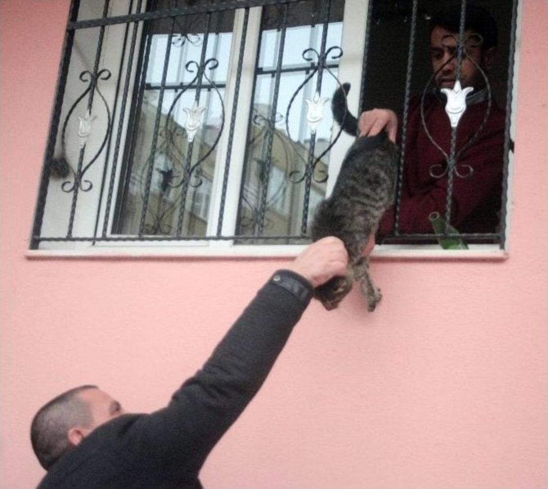 &Ccedil;ıplak Ayakla Kedi Kurtarma Operasyonu