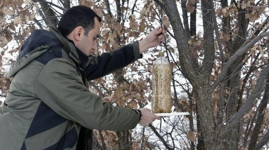 Yaban Hayatını Unutmayın