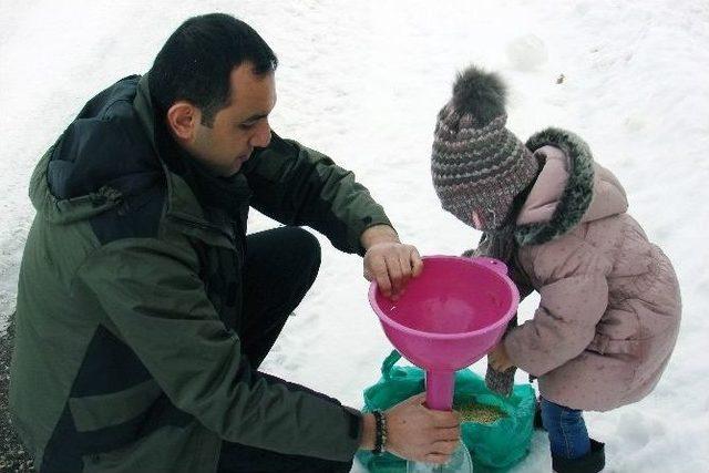 Yaban Hayatını Unutmayın