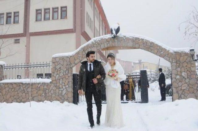 Güney Kore'den Hakkari'ye Gelin Geldi