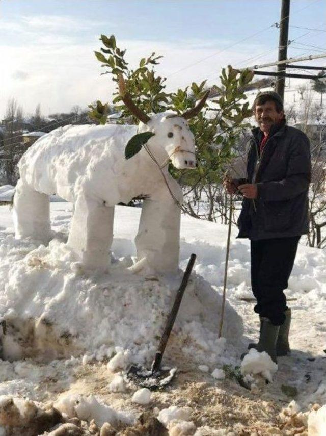 Kardan İnek Yapıp Otla Beslediler