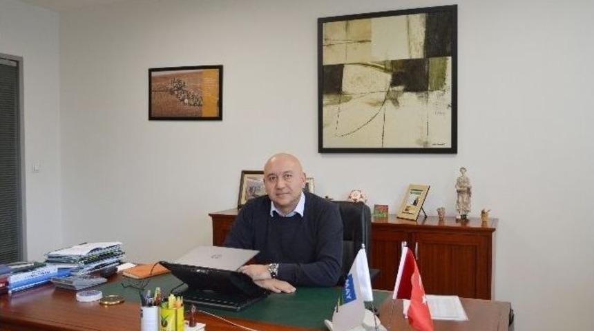 Şampiyon Mısırlar