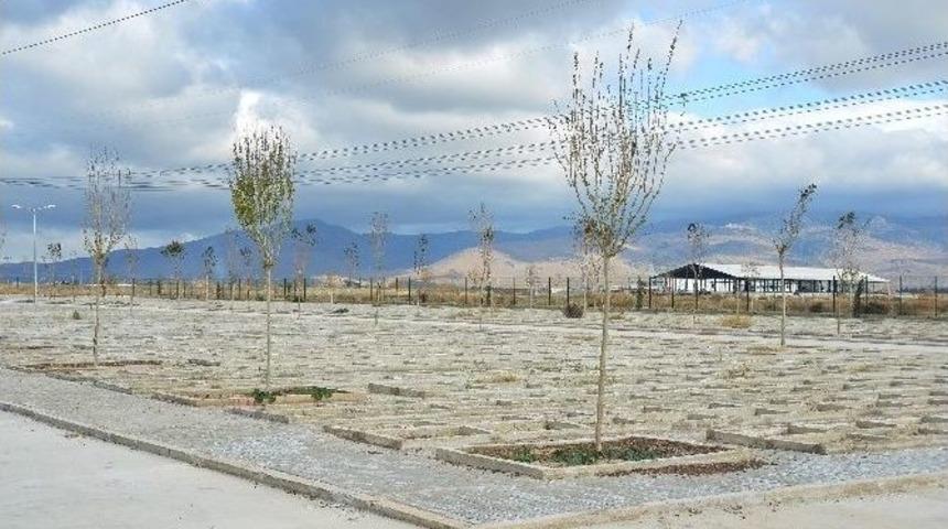 İzmir&rsquo;in İlk Hayvan Mezarlığı Tamamlandı