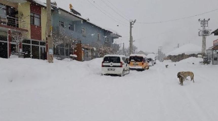 Bing&ouml;l&rsquo;de Kar Yağışı Hayatı Fel&ccedil; Etti