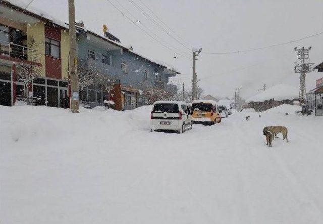 Bingöl’de Kar Yağışı Hayatı Felç Etti