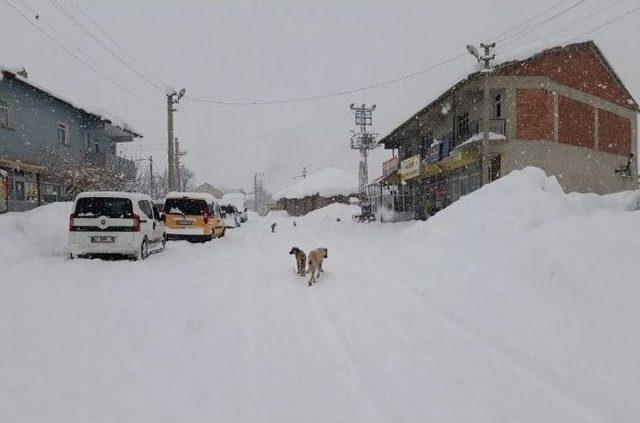 Bingöl’de Kar Yağışı Hayatı Felç Etti