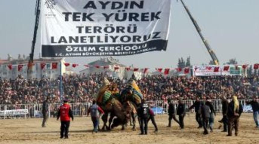 Şampiyon Develer Kozlarını Efeler Diyarı Aydın&rsquo;da Paylaştı