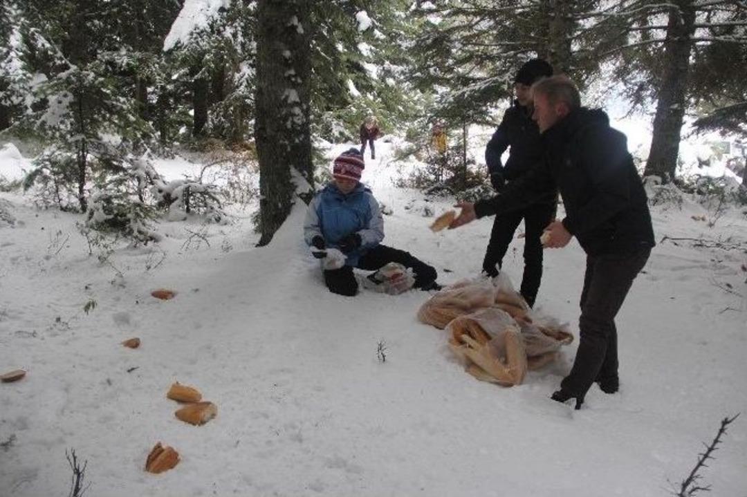 Bolu Doğa Sporları Ve Off Road Kul&uuml;b&uuml; &Uuml;yeleri Yaban Hayvanlarını Yemledi
