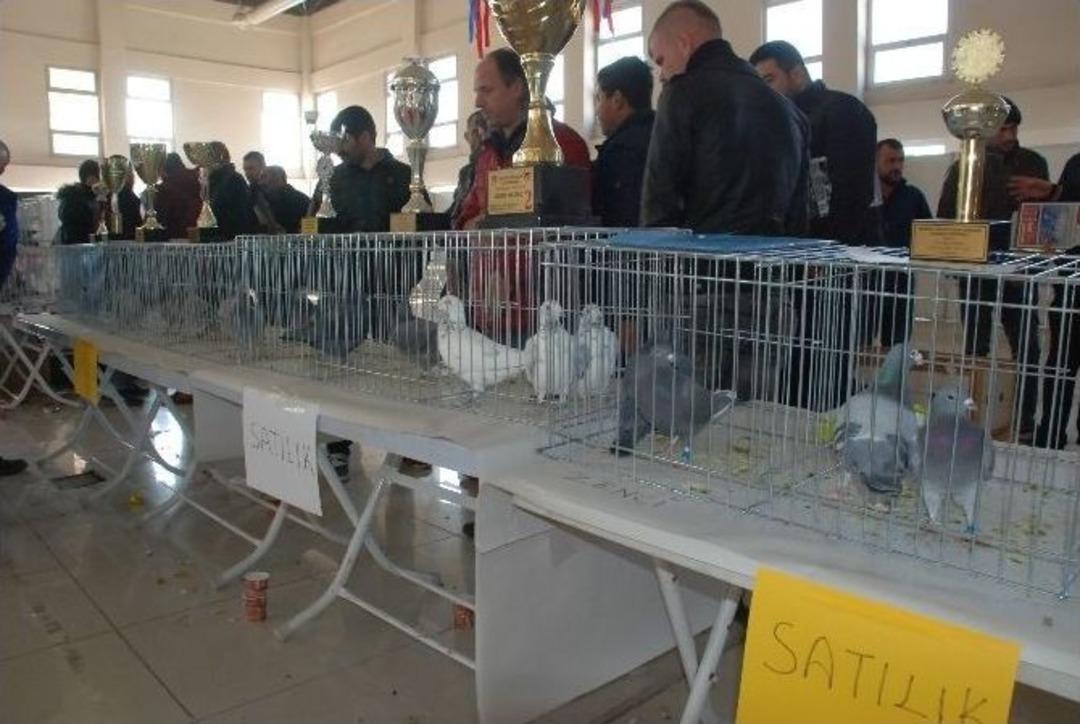 G&uuml;vercin Sevdalıları Manisa&rsquo;da Buluştu