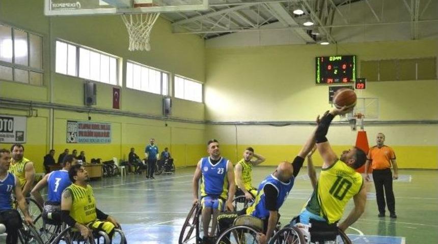 Engelsiz Ceylanlar Dolu Dizgin