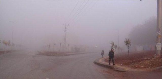 Kilis’te Yoğun Sis Etkili Oldu