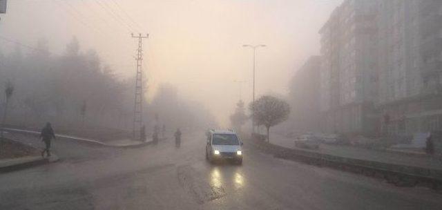 Kilis’te Yoğun Sis Etkili Oldu