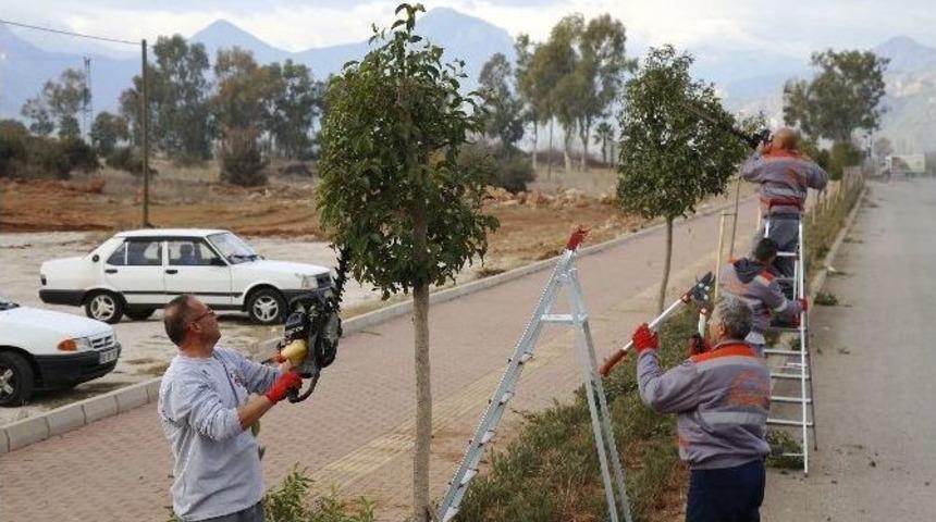 D&ouml;şemealtı&rsquo;na Kış Makyajı