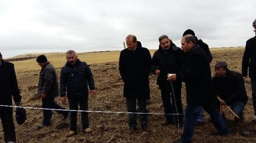 Malatya&rsquo;da İlk Defa Arguvan&rsquo;da Dikilecek