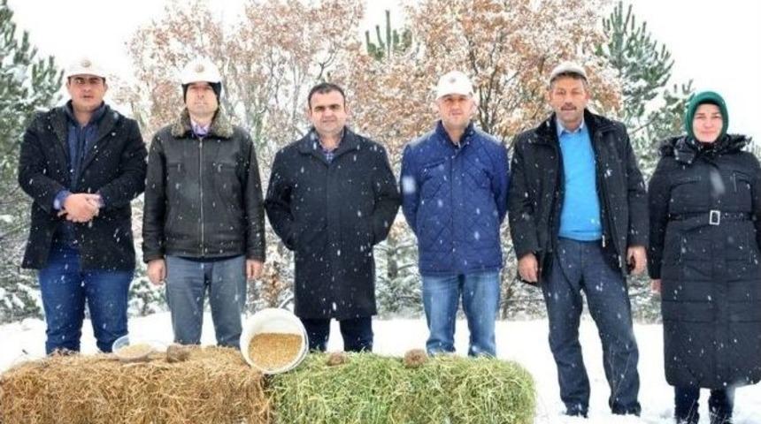 Yaban Hayvanları İ&ccedil;in Doğaya Yem Bırakıldı