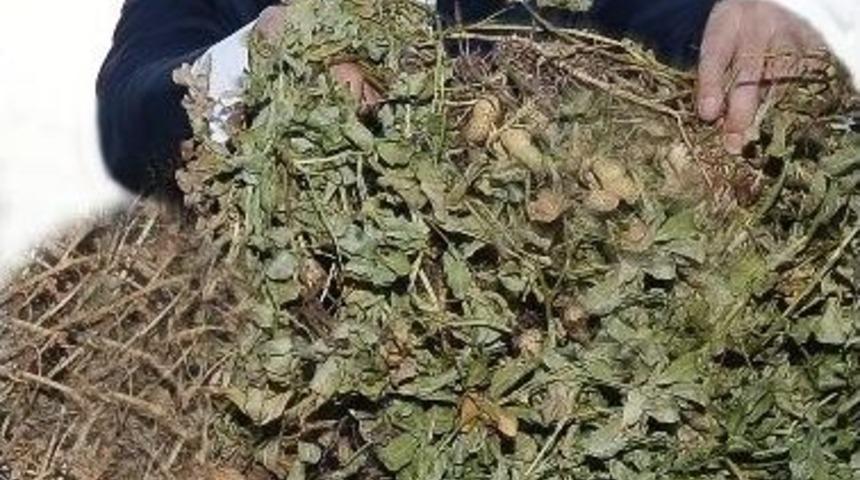 Vali Demirtaş: "adana&rsquo;da Tarım Verimli Ge&ccedil;ti"