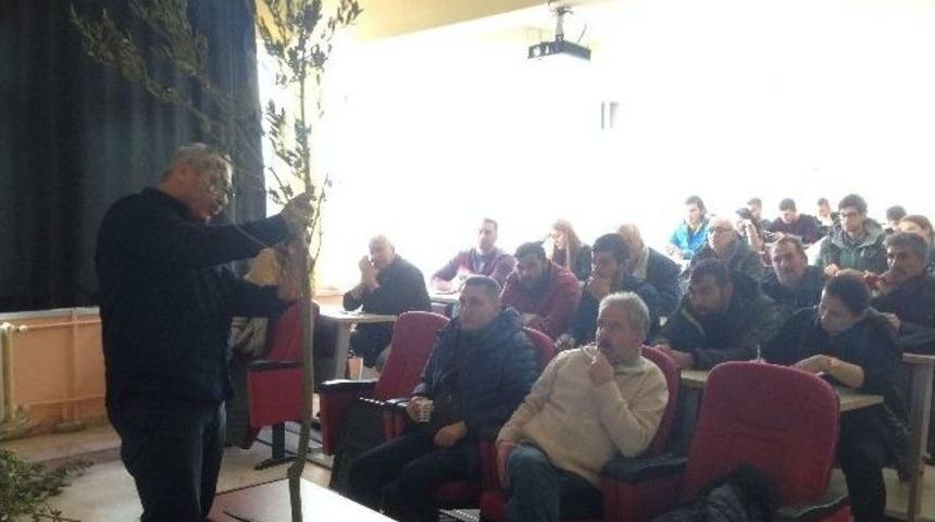 Zeytinde Budama Kursuna Yoğun Katılım