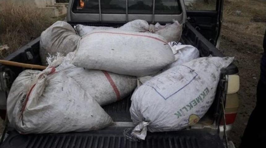 Kır Bek&ccedil;ileri, Zeytin Hırsızlarının Korkulu R&uuml;yası Oldu