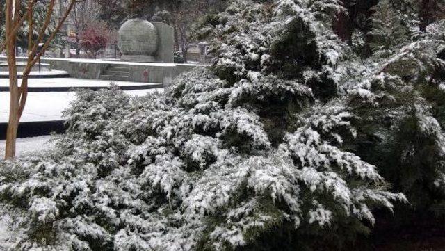 Kırklareli'de Kar Yağışı Başladı