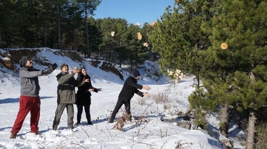 Osmaniye&rsquo;de Yaban Hayvanları İ&ccedil;in Yem Bırakıldı