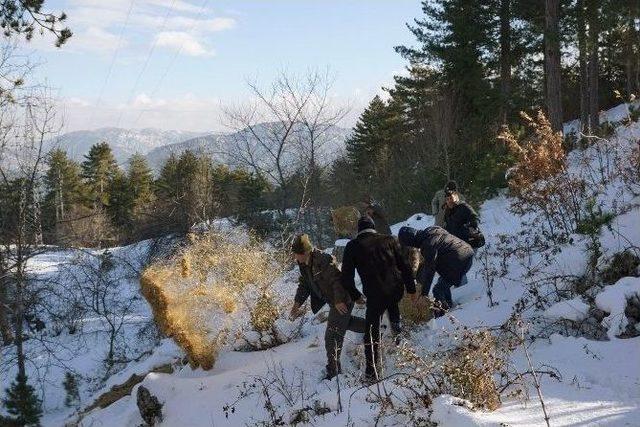 Osmaniye’de Yaban Hayvanları İçin Yem Bırakıldı