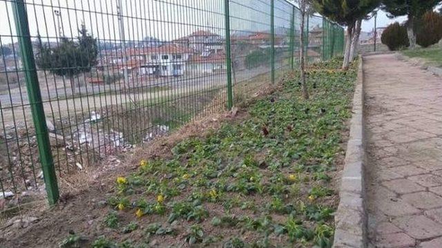 Borlu’nun Çiçekleri Büyükşehirden