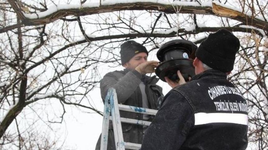 Cihanbeyli&rsquo;nin D&ouml;rt Bir Tarafına Kuş Evleri Yerleştirildi