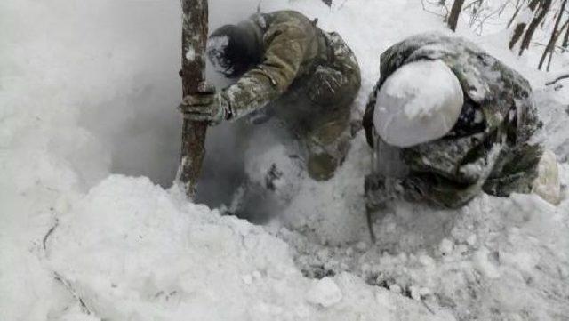 Bitlis Tatvan'da Pkk'ya Yönelik Operasyon