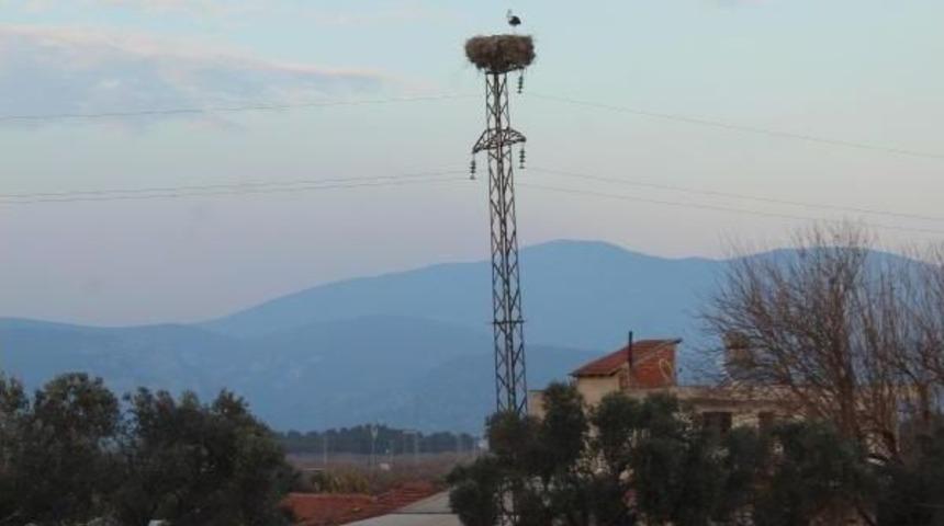 K&uuml;resel Iklim Değişikliği Leyleği Şaşırttı