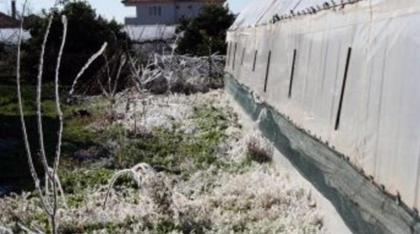 Aydın’da Zirai Don Ve Buzlanma Riskine Dikkat