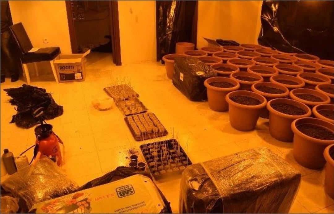 Mersin&rsquo;de Hint Keneviri Yetiştiricilerine Su&ccedil;&uuml;st&uuml;