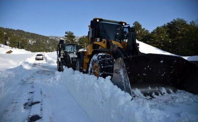 Alanya'da Kardan Mahsur Kalan 15 Kişi Ve 300 Koyun Kurtarıldı