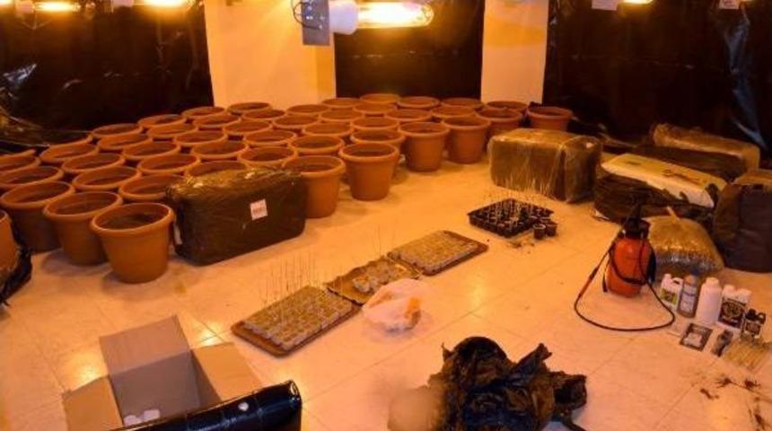 Mersin'de L&uuml;ks Villada Hint Keneviri Yetiştiriyorlarmış