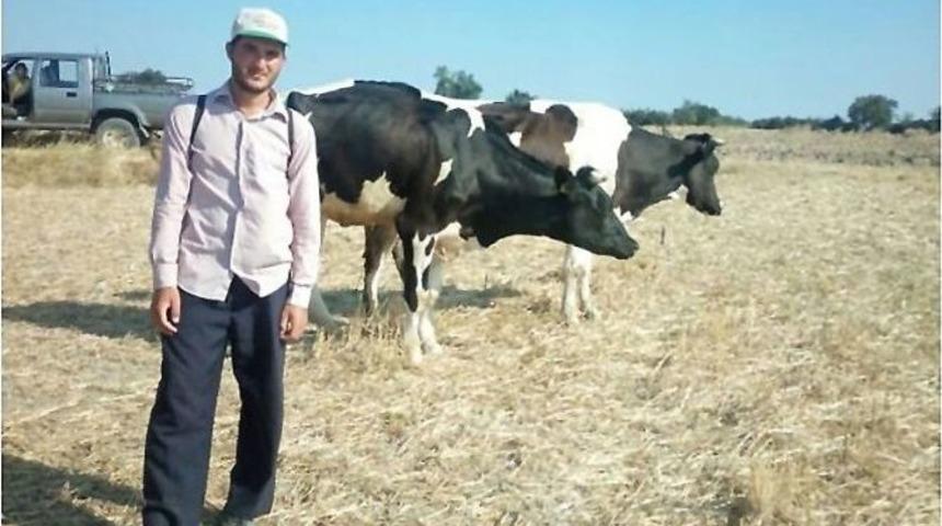 &Ccedil;anakkale&rsquo;de 154 Aileye 2 Milyon Tl S&uuml;t Sığırcılığı Kredisi