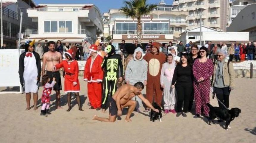 Sokak Hayvanları Yararına Denize Girdiler