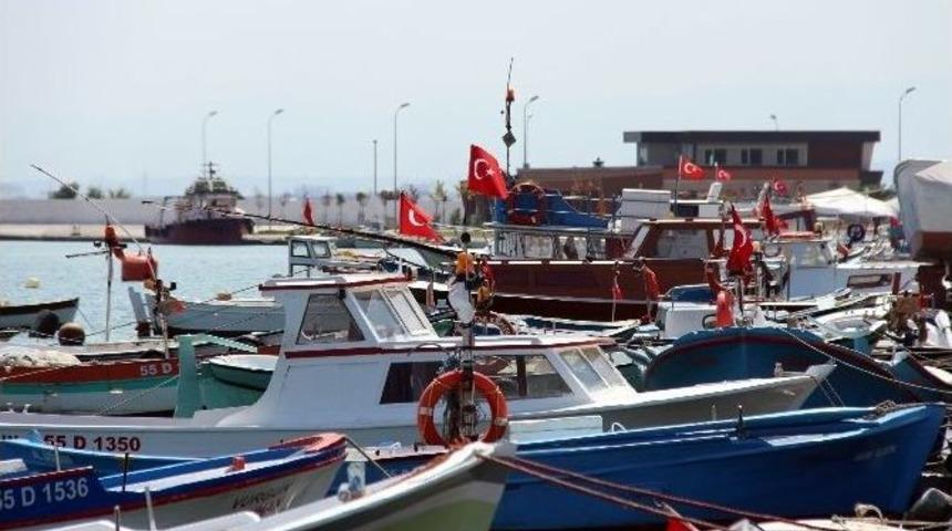 Samsun&rsquo;da Yılda 14 Bin Tondan Fazla Sofralık Balık Yetiştiriliyor