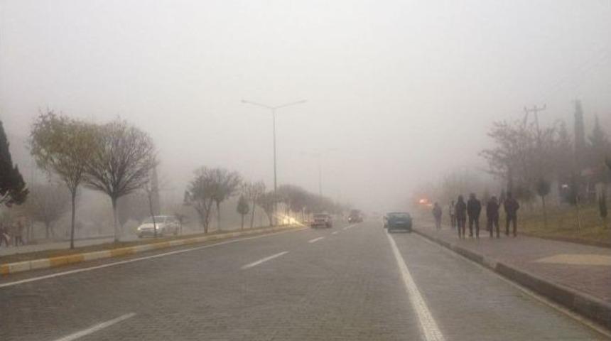 Yoğun Sis Hayatı Olumsuz Etkiledi