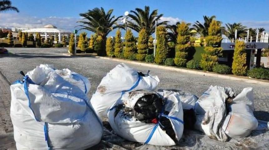&Ccedil;eşme Plajlarında Temizlik 2 Ay S&uuml;recek
