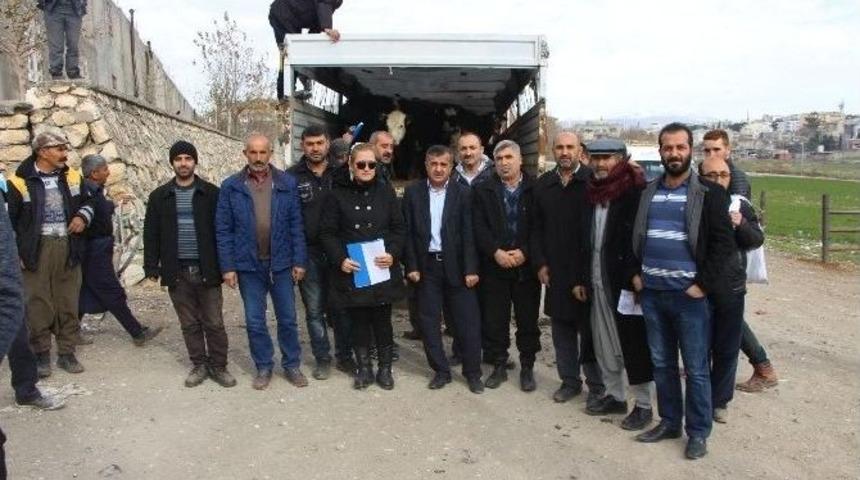 Gen&ccedil; &Ccedil;ift&ccedil;ilere 120 Adet D&uuml;ve Hibe Edildi